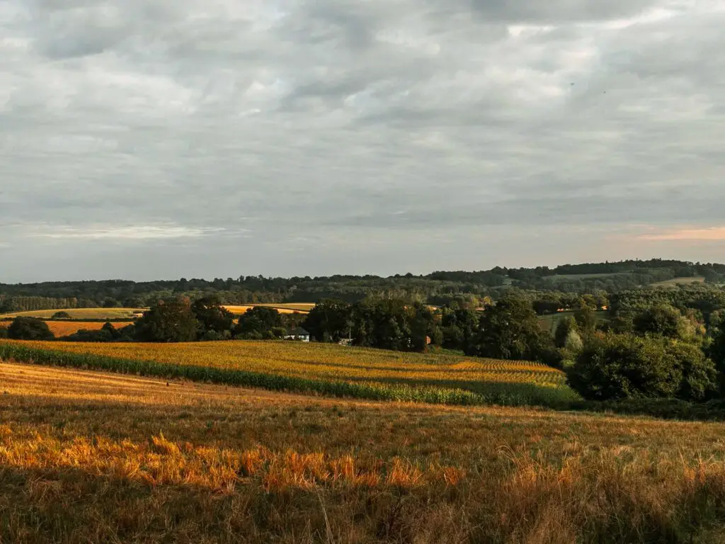 A view down across the fields of the high weald on the circular walk from balcombe to the ouse valley viaduct. 