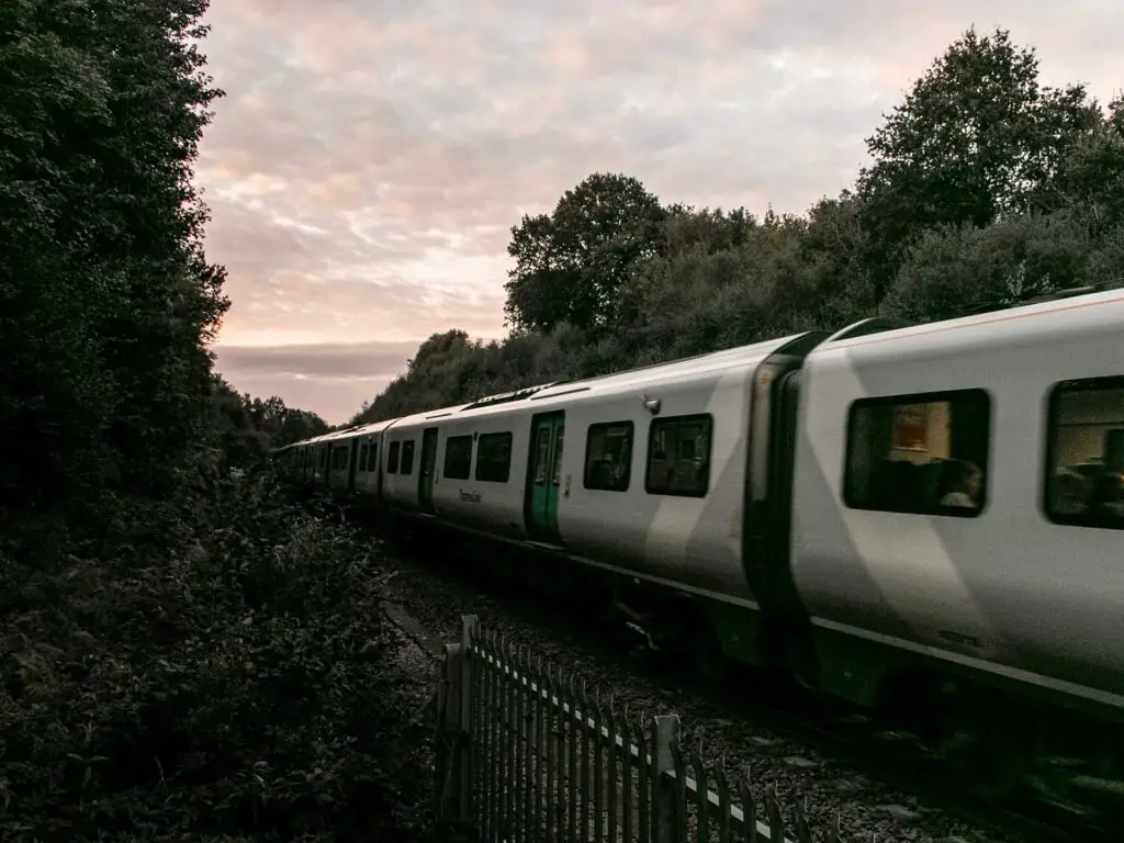 A train across the frame running between the bushes and trees. The sun is starting to set, creating light pink clouds.