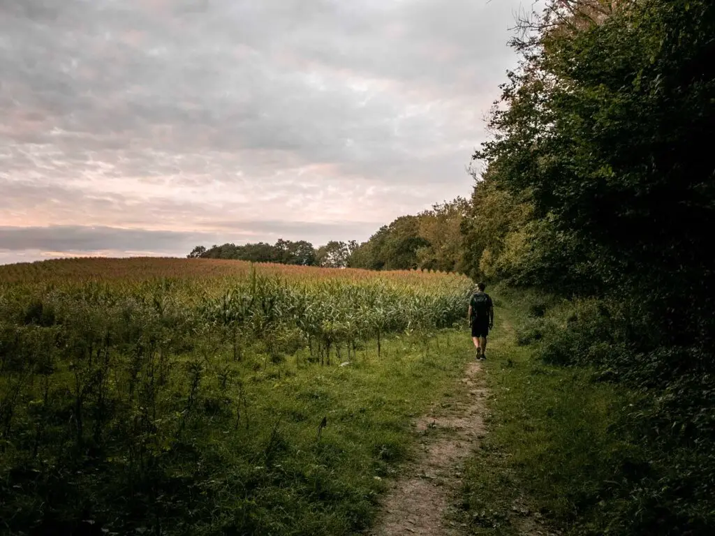 A man walking along a small dirt trail with dence woodland on the right and a crop field on the left.