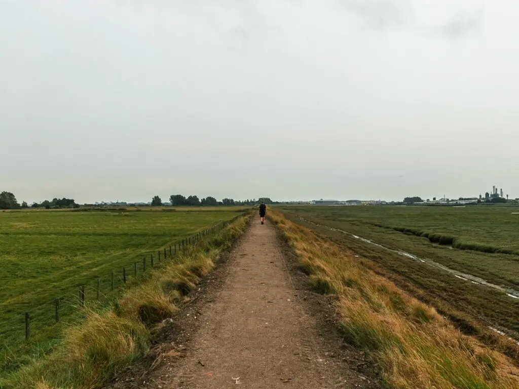 A walking trail with a green grass field on the left and green marsh land on the right. There is a man walking further along the trail.