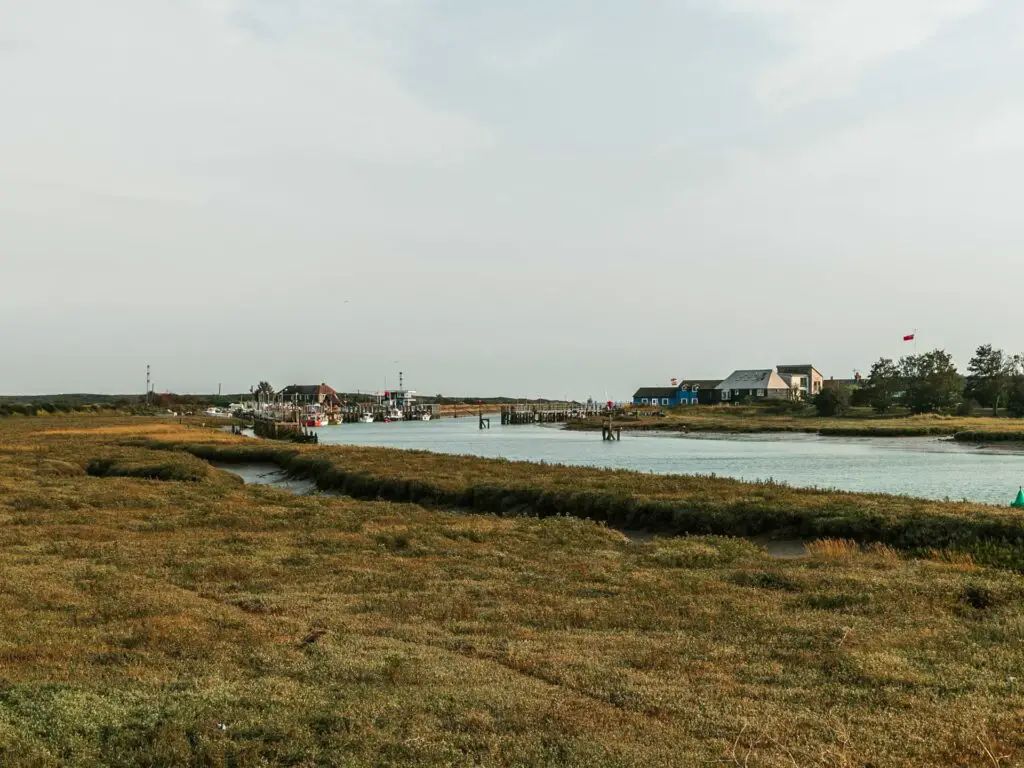 Green marsh land next to the River Rother and Rye Harbour visible in the distance on the walk too Camber Sands.