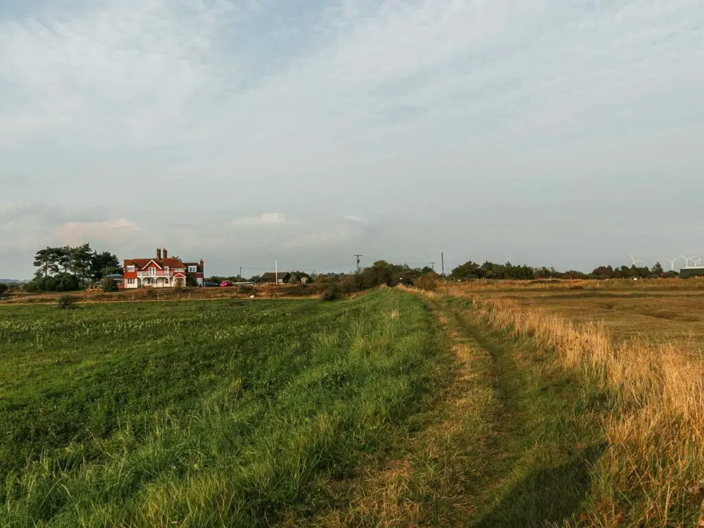 The green grass walking trail with a green field to the left of it and yellow field to the right. There is a red and White House on the other side of the green field.