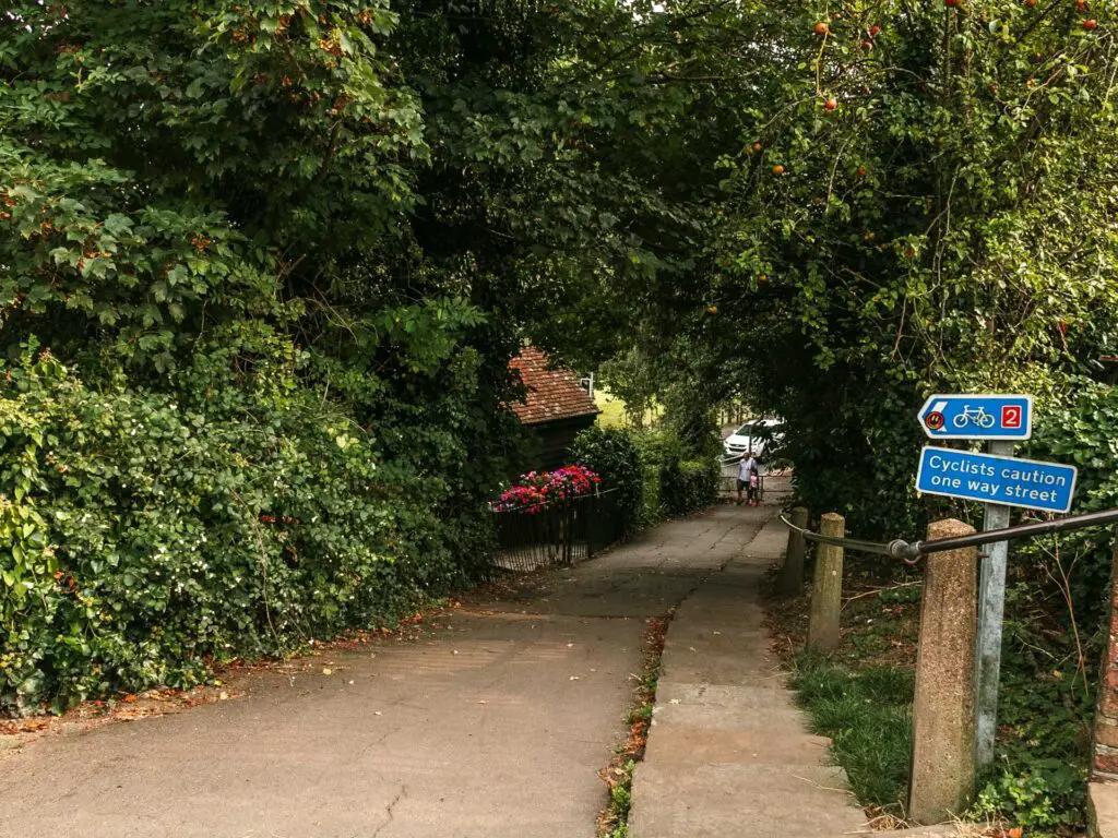 A path leading downhill under the bushes. There is a blue cycleway signpost on the path.