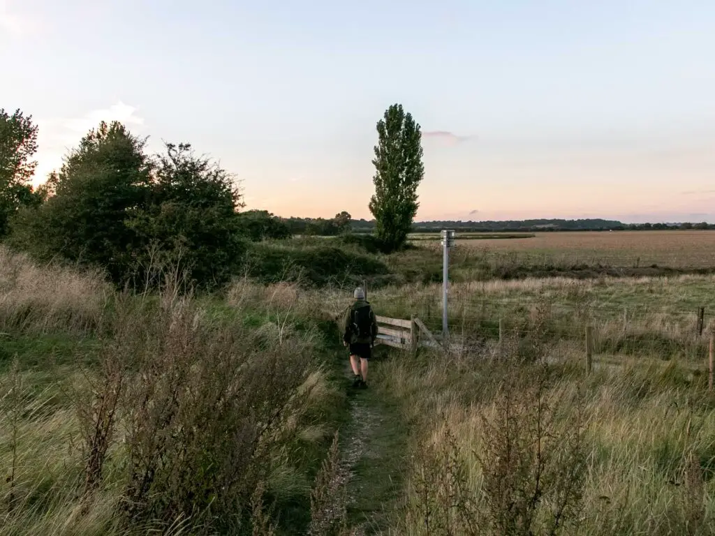 A small trail between the overgrown grass leading to a wooden gate. A man is walking towards the gate.