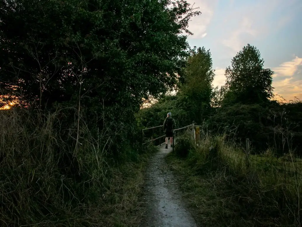 A small trail surrounded by overgrown grass and trees. The trail leads to a small bridge and there is a man walking across it. 