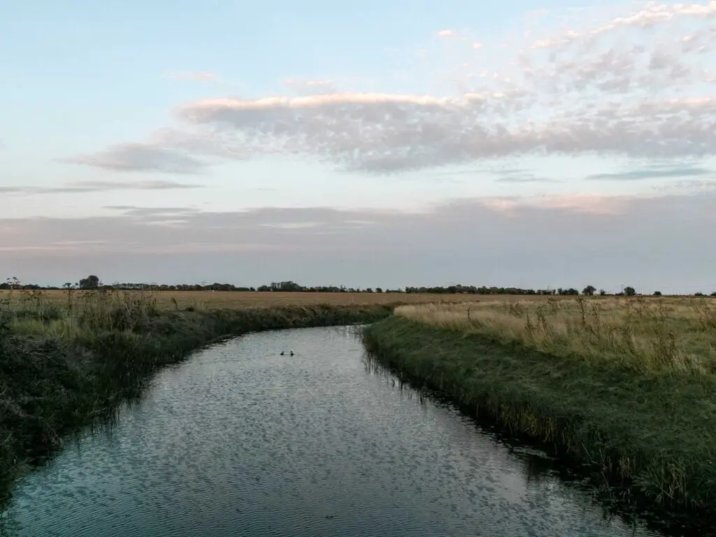 A river river green grass banks near Rye.