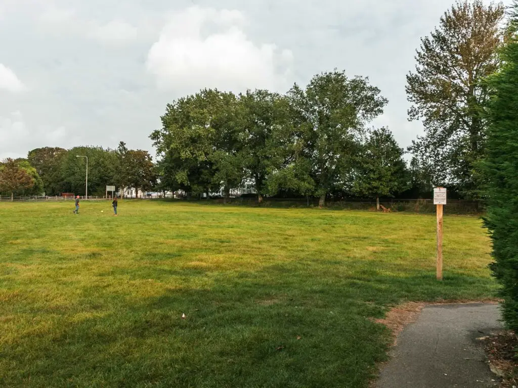 A green field with some trees on the other side.