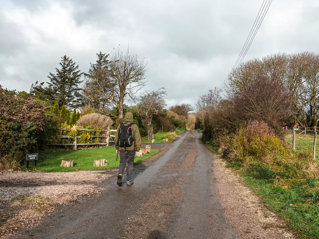 A man walking up the road lined with grass on the right, and front lawns on the left.