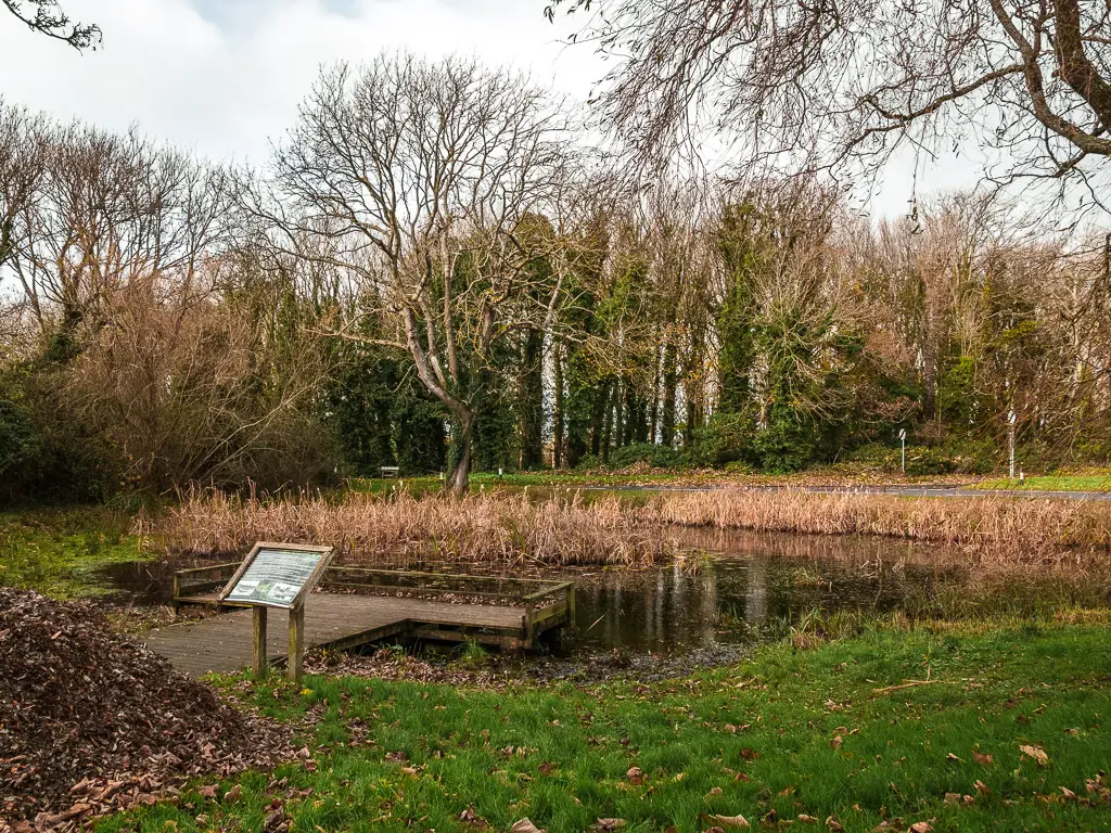 Friston Pond, with a wooden platform, and woodland on the other side of the road.