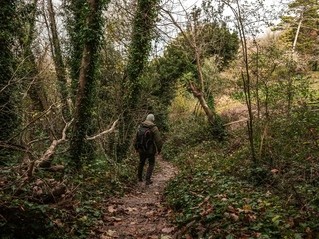 A man walking downhill on a narrow dirt track, with overgrown bushes and hanging trees.