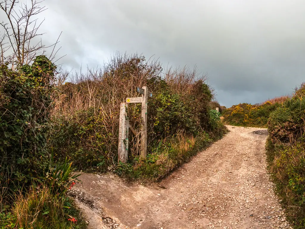 A trail, with an offshoot trail to the left and wooden signpost on the walk out of Birling Gap. Green hedges line the trails.