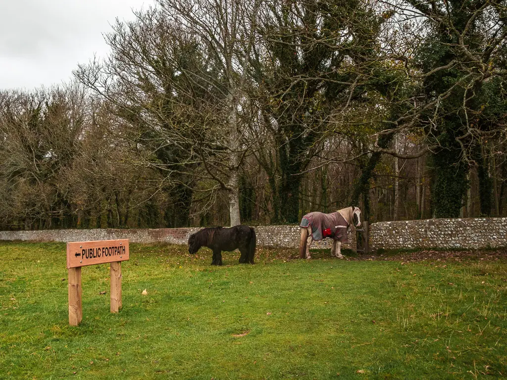 A small black pony and a horse standing at the edge of the field, next to a brick wall, on the Friston Forest walk. There is a 'public footpath' sign.