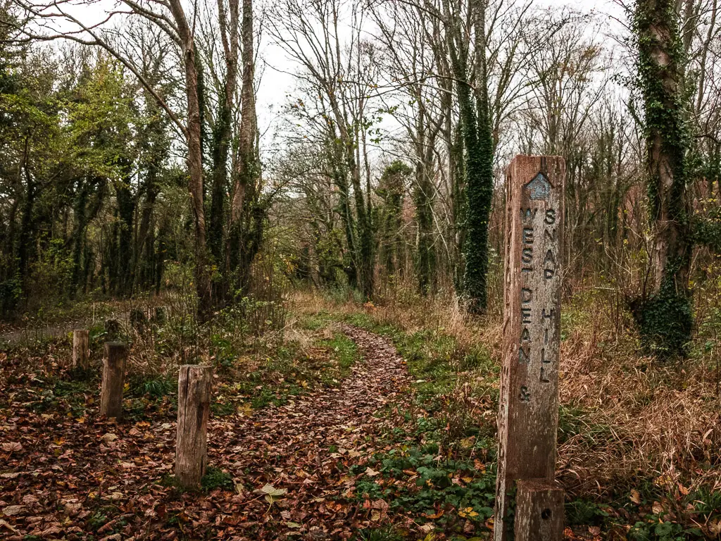 A wooden trail signpost, pointing to a brown leaf covered trail. 