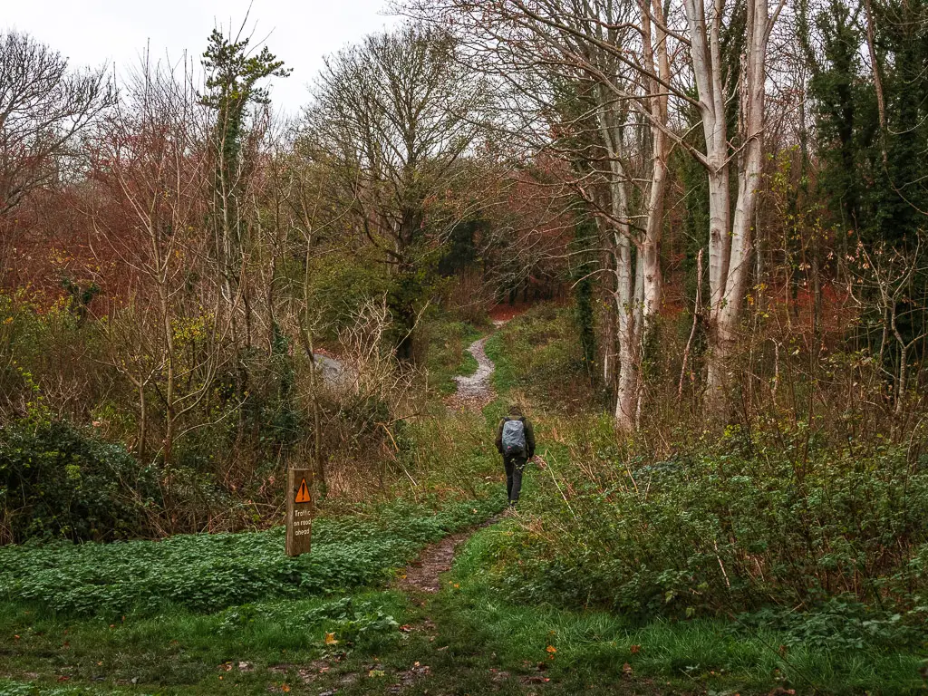 A man walking along a narrow dirt trail, surrounded by grass and bushes. Ahead, the trail leads uphill to more woods.