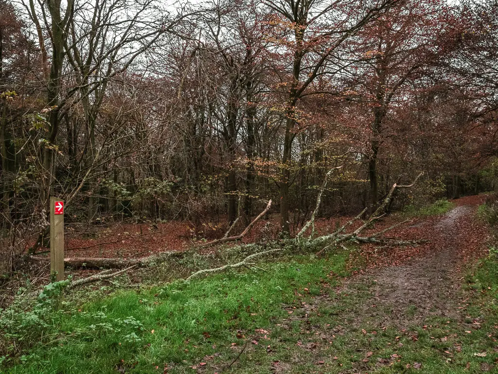 A dirt trail, with a wooden signpost next to it pointing to the mountain bike track.