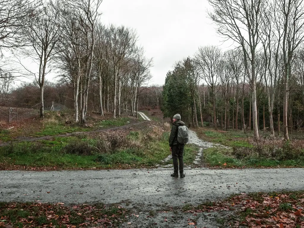 A man standing on a path, with a small trail leading off it. There are lots of grey/silver coloured tall leafless trees.