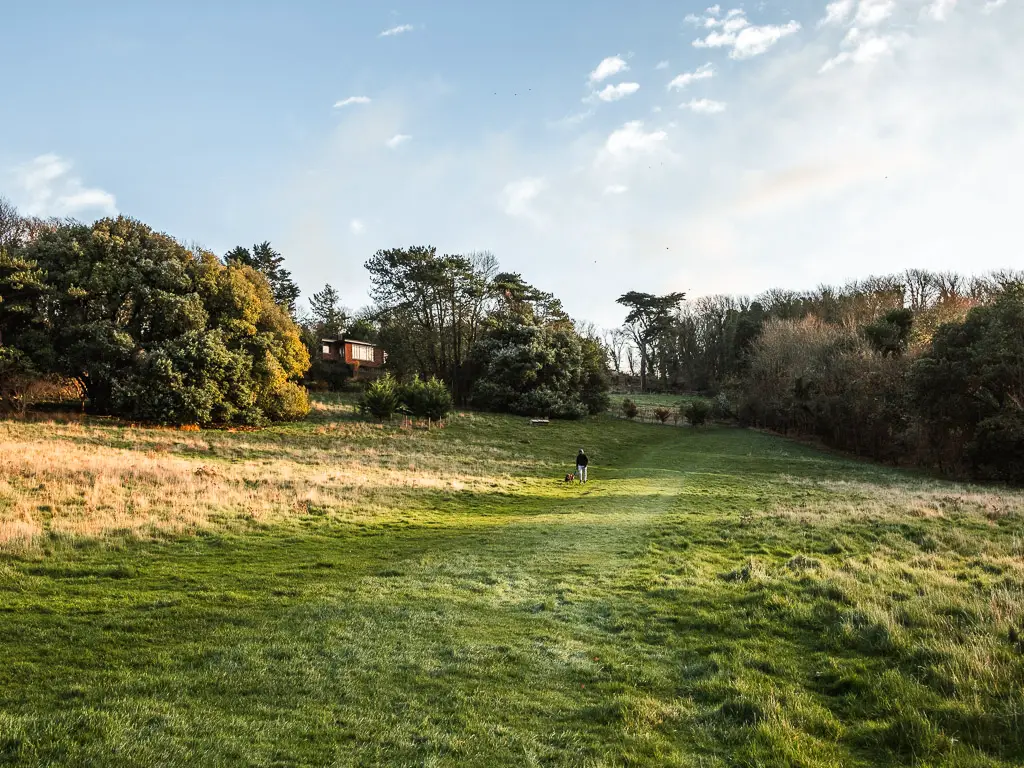 A green grassy field, going uphill towards bushes and trees.
