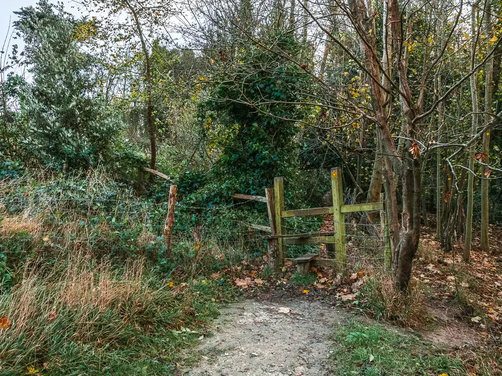 A wooden style with messy trees and bushes on the other side.