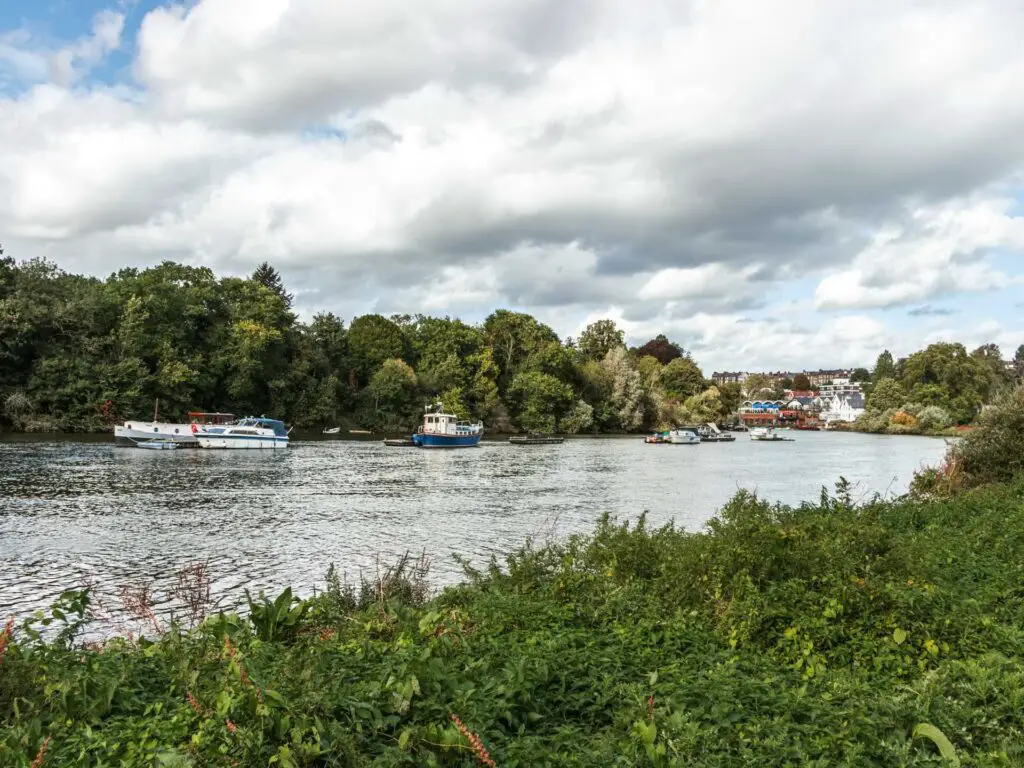 Looking over the green bushes to the river on the walk along the Thames Path in London. There are lots of green bushy trees on the other side, and a few boats on the river.