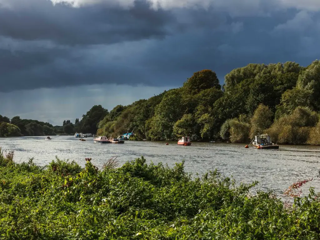 Looking along the river on the walk from Richmond to Hampton Court. The sky is dark blue/grey, there are a few boats on the river, and lots of big bushes and trees on the other side. 