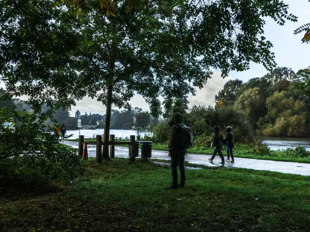 A man standing on a grass patch under the trees out of the rain.