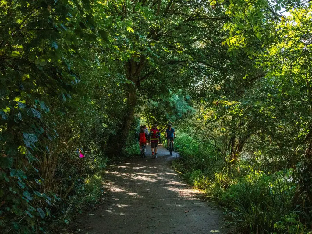 The path leading through the green overhanging bushes and trees. There are three people ahead on the Traill. Two are walking and one is on a bike.