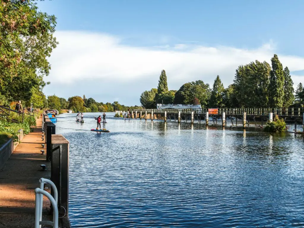 Paddle boarders on the river Thames on the walk from Richmond to Hampton Court and bushy park.