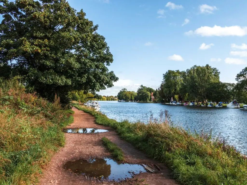 The trail with a couple of puddles, next to the River Thames. The path is lines with grass, and there are trees ahead on both sides of the river.