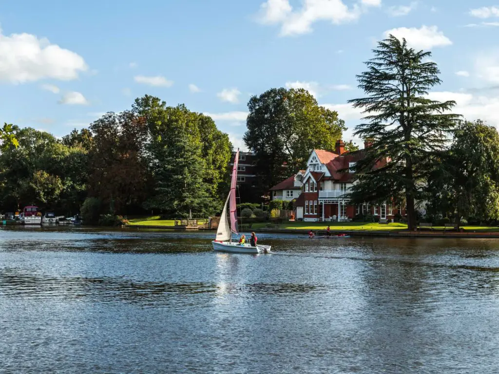 A sail boat on the River Thames with a big house and trees on the other side.
