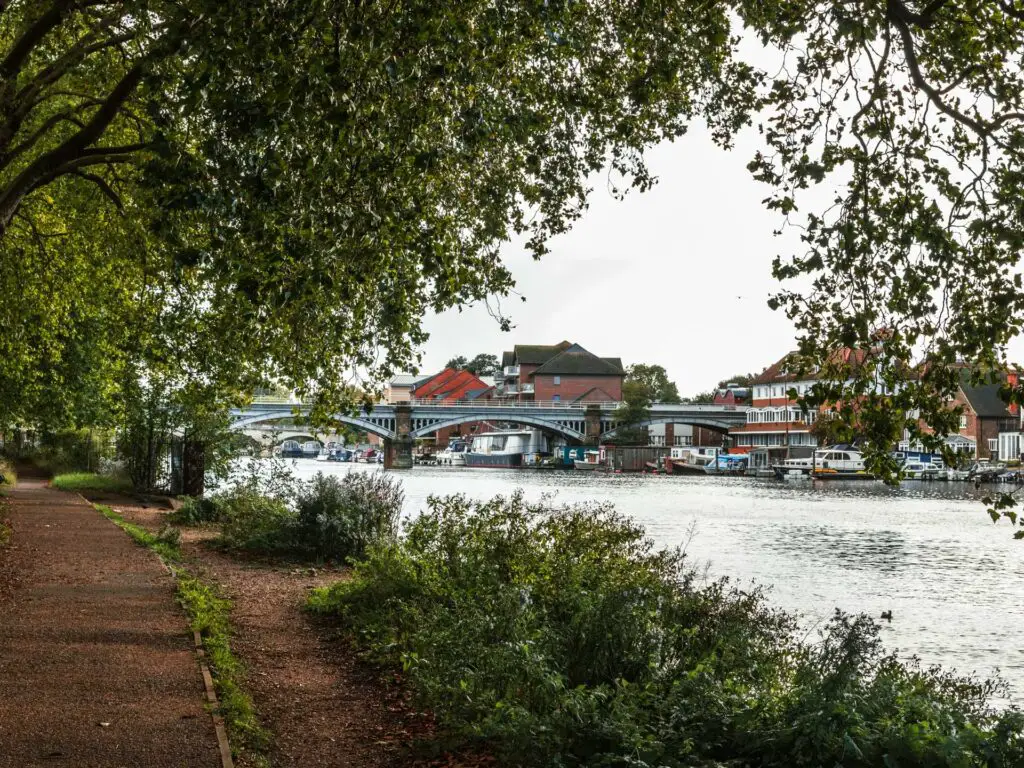 There is a path on the left and the river to the right with a railway bridge ahead. There are overhanging trees in the frame.