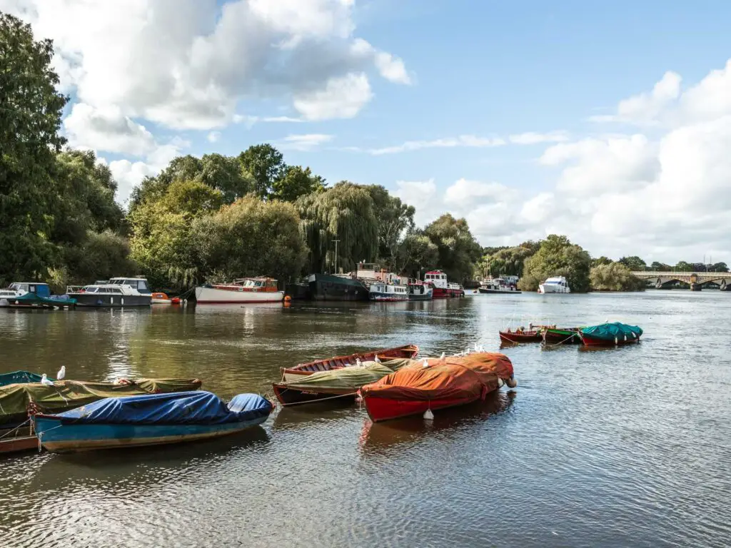 Looking down the River Thames and the colourful moored row boats on the walk from Richmond towards Hampton court and bushy park. There are some bigger boast on the other side of the river with lots of full green trees behind them.