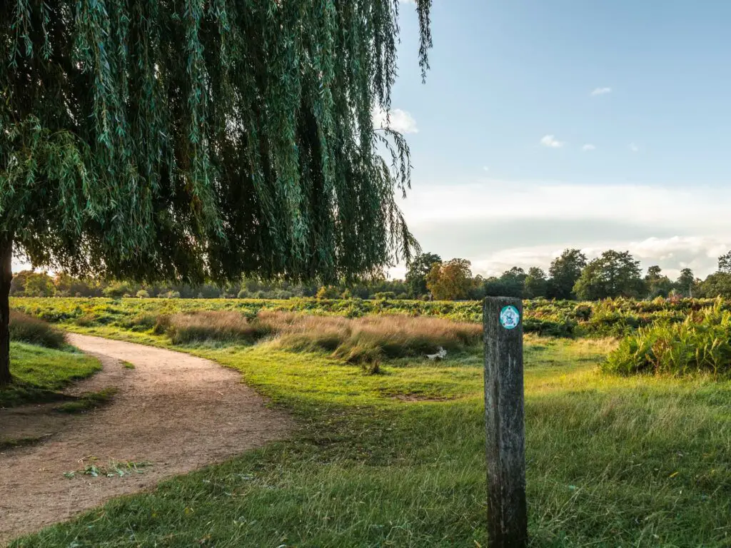 A wooden trail signpost in the grass next to a path .