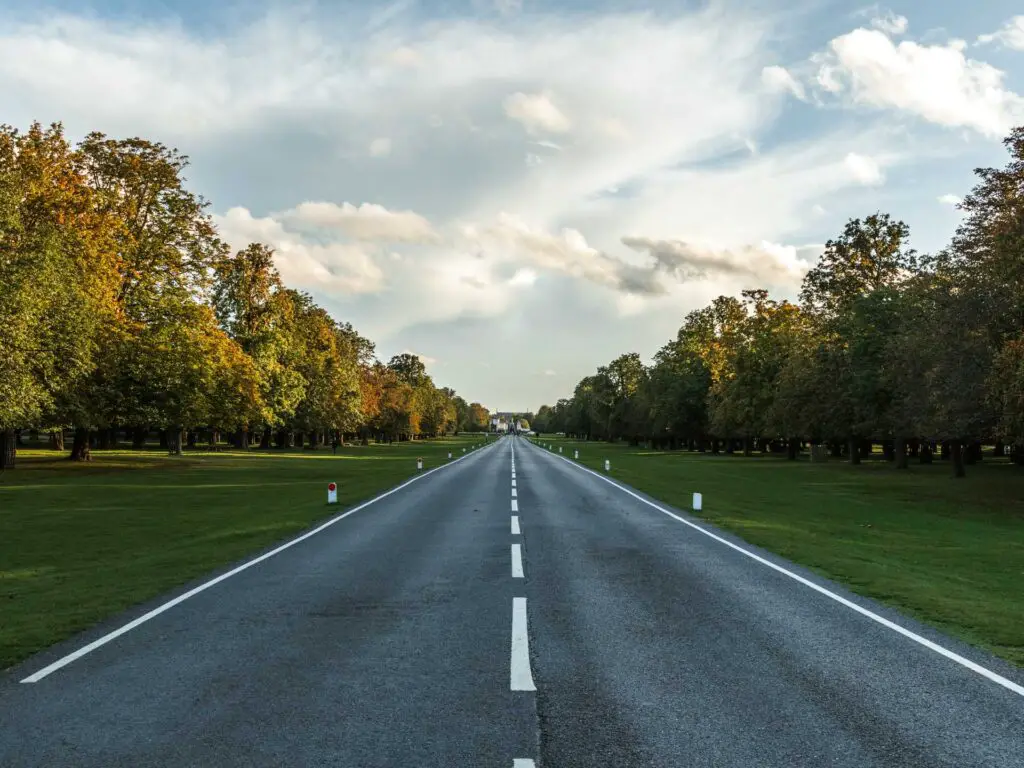 A long road with white line parkings on the walk through bushy park. On either side of the road is well manicured green grass and a long line of trees.