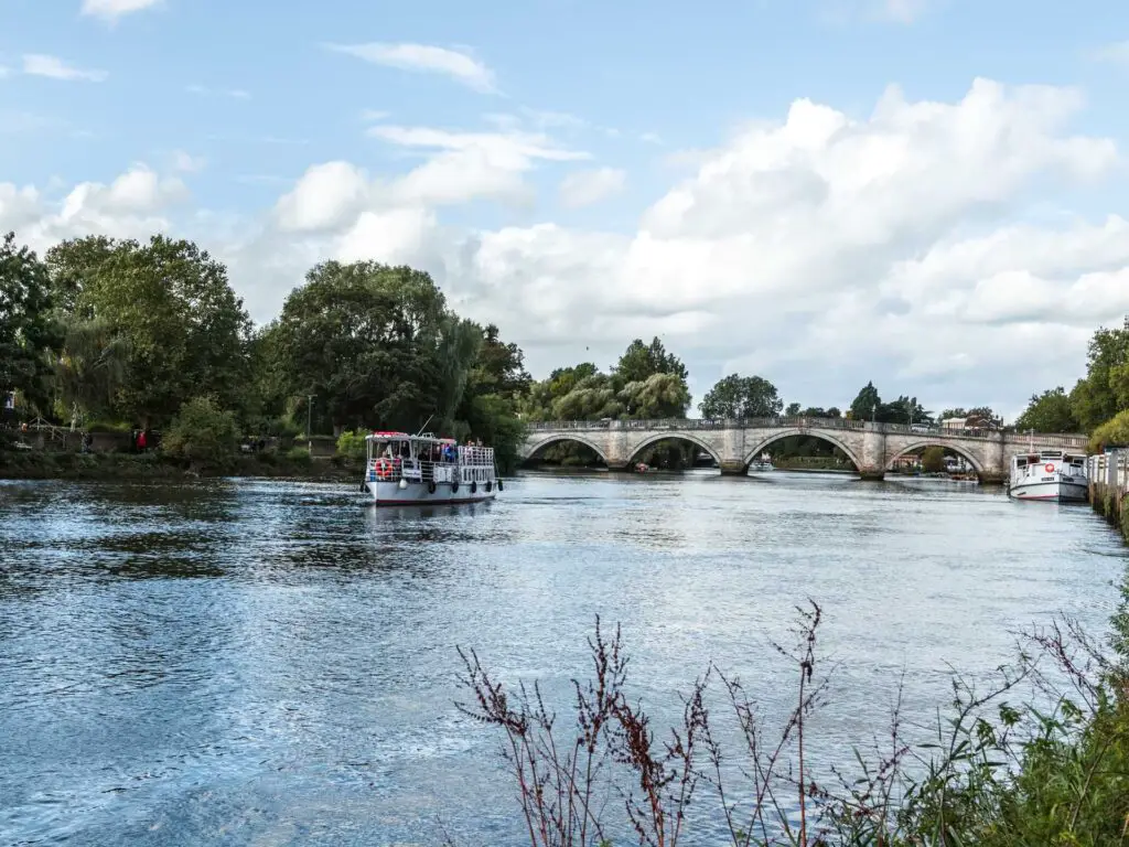 looking down the River Thames towards Richmond bridge on the walk towards Hampton Court and bushy park. There is a passenger boat on the river.