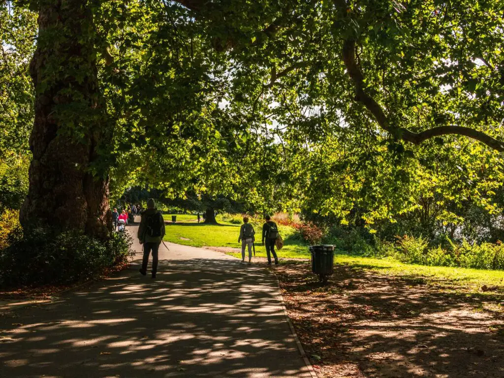 Walking under the trees in the park. On the other side of the trees the grass is bright green where the sun is shining down on it.