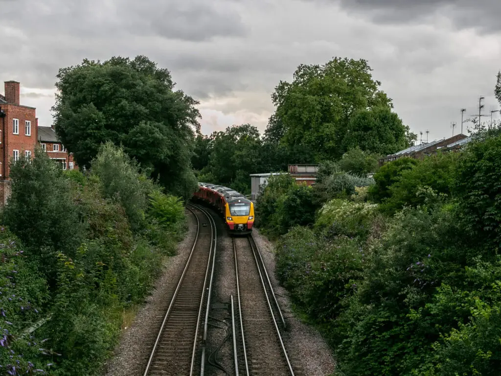 Looking down to the railway track surrounded by green bushes and trees. There is a train on the track.