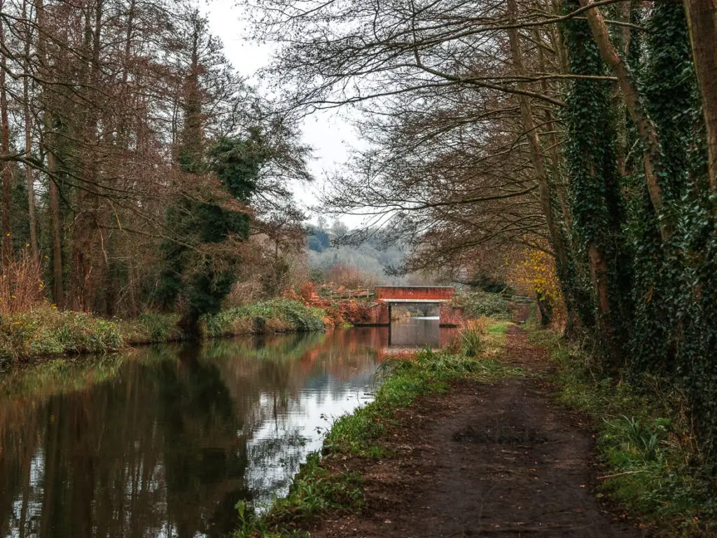 A dirt path running along the right side of the River Wey on one of the walks around Guildford. There is a bridge further along the river. There are trees limning the path and river.