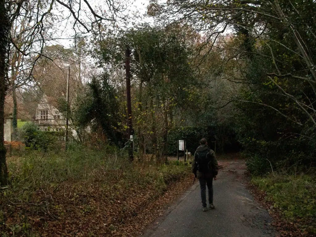 A man walking on a road, surrounded by trees on the walk back to Haslemere from Devil's punch bowl in Surrey. A white house is just visible to the left through the trees.