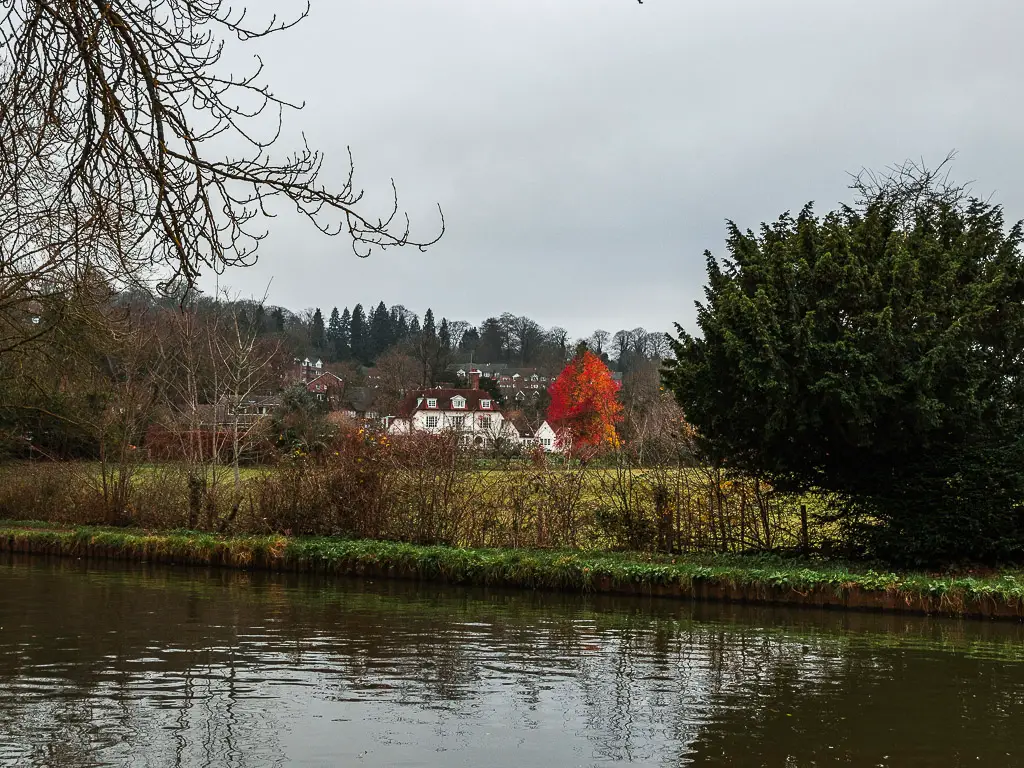 Looking across the River Wey on the walk out of Guildford. On the other side there is a field and a house with a white facade in the distance surrounded by trees.