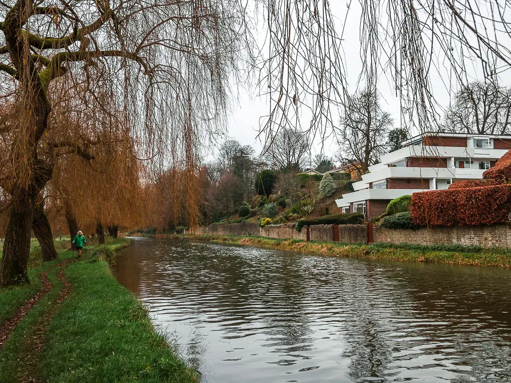 A women on a walk on the path next to the River Wey near Guildford. There is a houses on the other side of the river. There are tree branches hanging in the top of the frame.