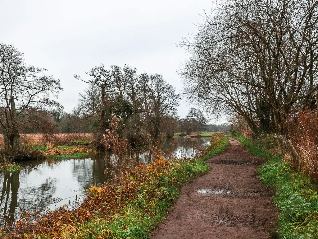A dirt trail with the River Wey to the left on the walk towards Godalming from Guildford. There is grass lining the trail, and a few leafless trees along the river and trail.