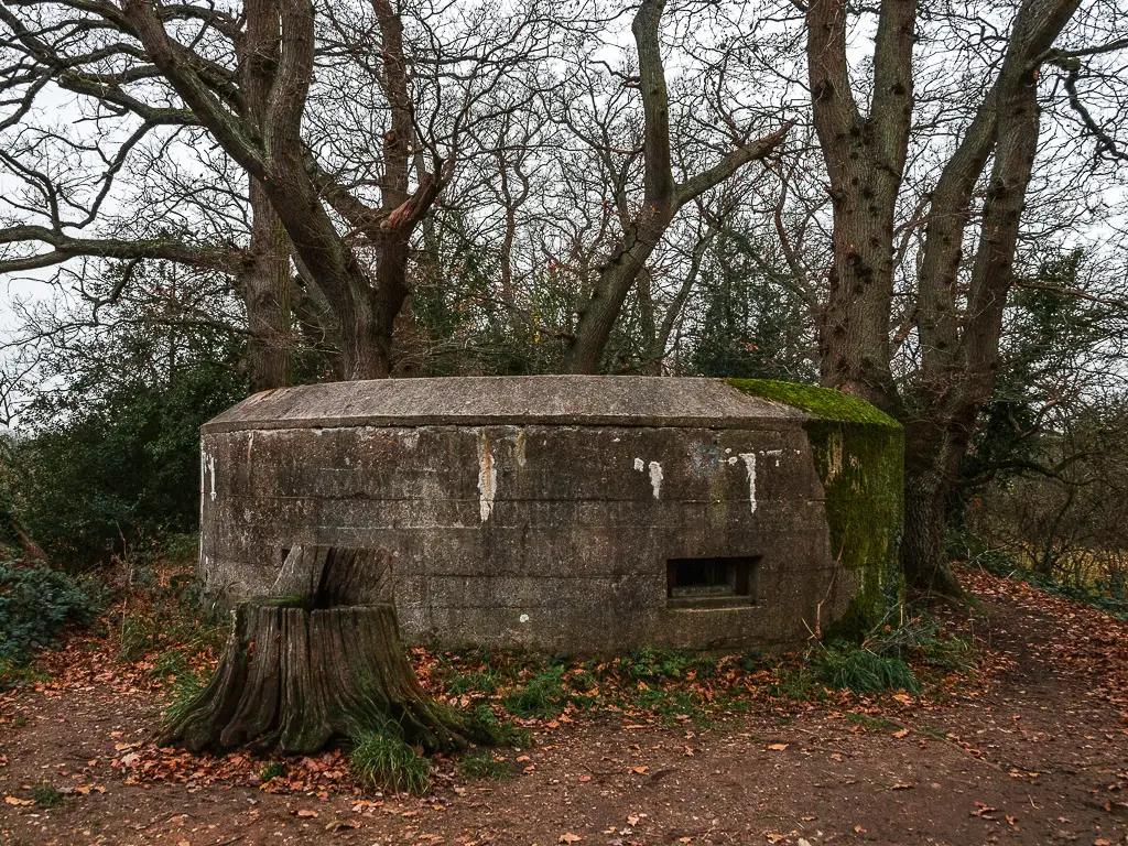 A war pillbox circled by a dirt track, with tree trunks rising up behind it.