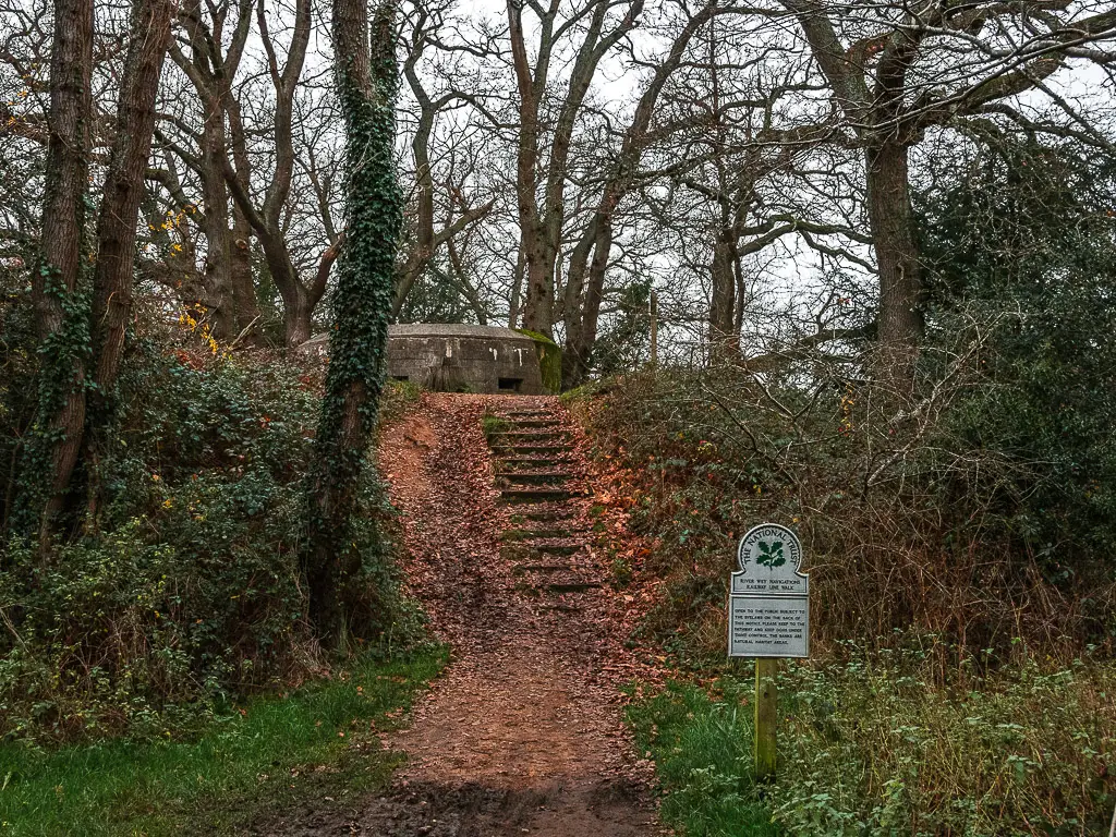 Steps leading up past some bushed and trees leading to a war pillbox on the walk from Guildford to Godalming.
