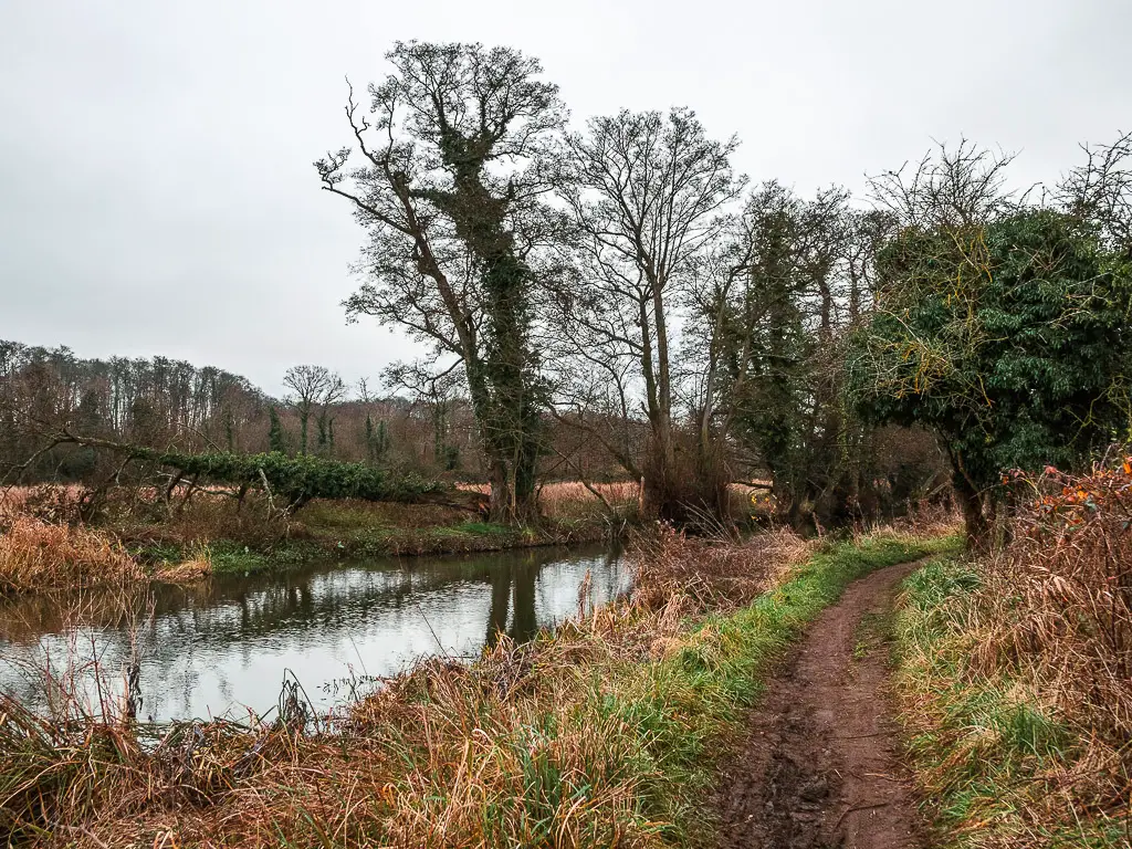 A dirt trail running along the River Wey on the walk fro Guildford to Godalming.