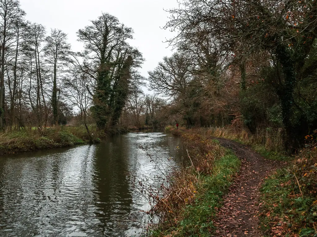 A dirt path running next to the water, and some trees on either side.