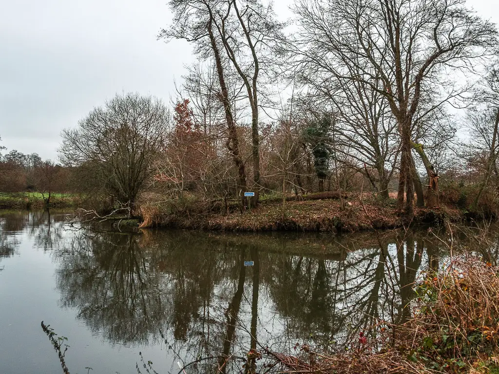 A river junction on the Wey Navigation on the walk between Guildford and Godalming. 