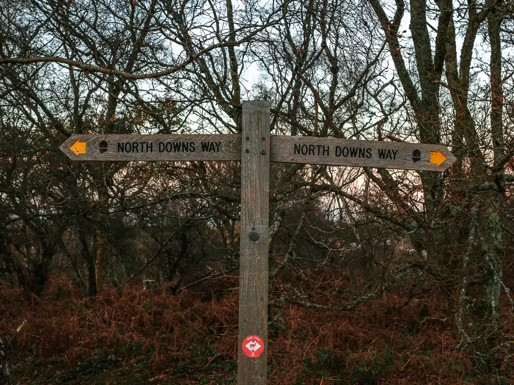 A wooden signpost pointing left and right for the North Downs Way.