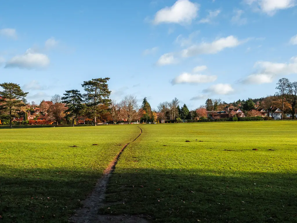 A large green field with a very small track running through it to the trees and houses on the other side. 