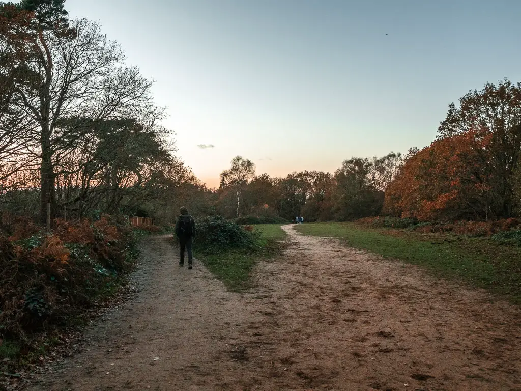 A trail split, with a man walking on the left trail.