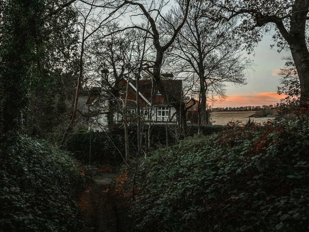 A path through the bushes looking towards a white house with red roof on the other side.